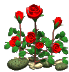 : : : : : C:\Users\AokiKazumi\Documents\HP\roses_md_clr.gif